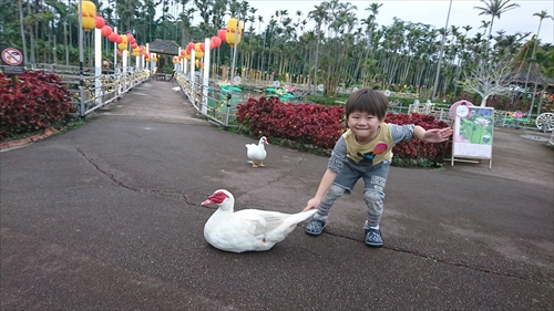 10日・東南植物楽園の光の散歩道！
